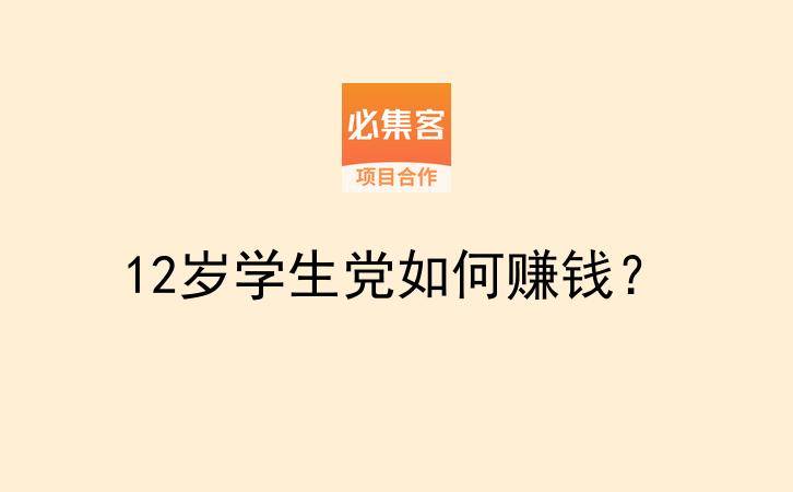12岁学生党如何赚钱？-云推网创项目库