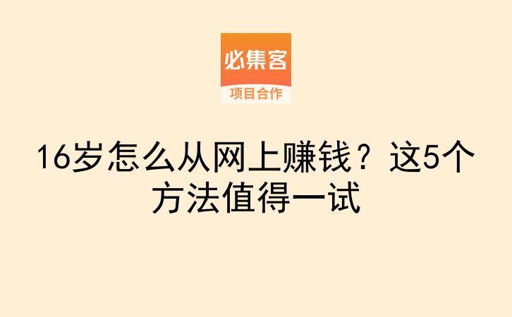 16岁怎么从网上赚钱？这5个方法值得一试-云推网创项目库
