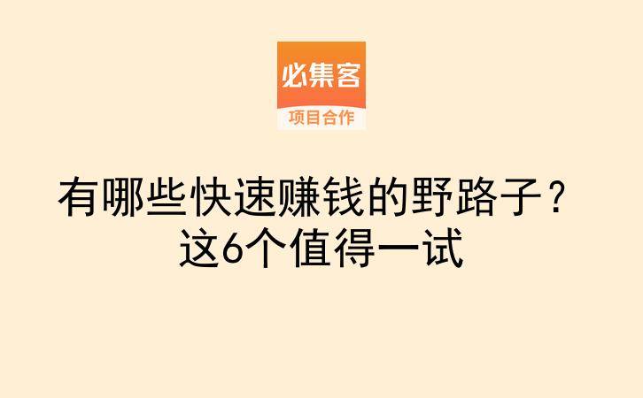 有哪些快速赚钱的野路子?这6个值得一试-云推网创项目库
