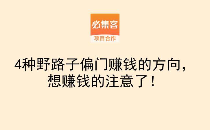 4种野路子偏门赚钱的方向,想赚钱的注意了!-云推网创项目库