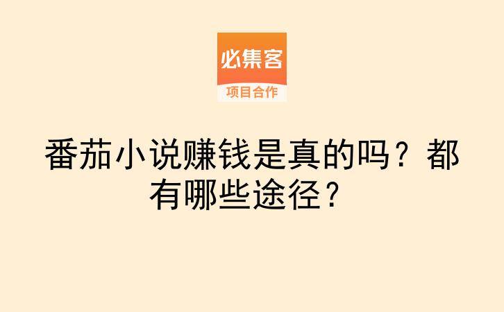 番茄小说赚钱是真的吗？都有哪些途径？-云推网创项目库