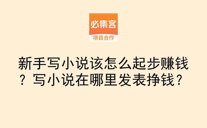 新手写小说该怎么起步赚钱？写小说在哪里发表挣钱？-云推网创项目库