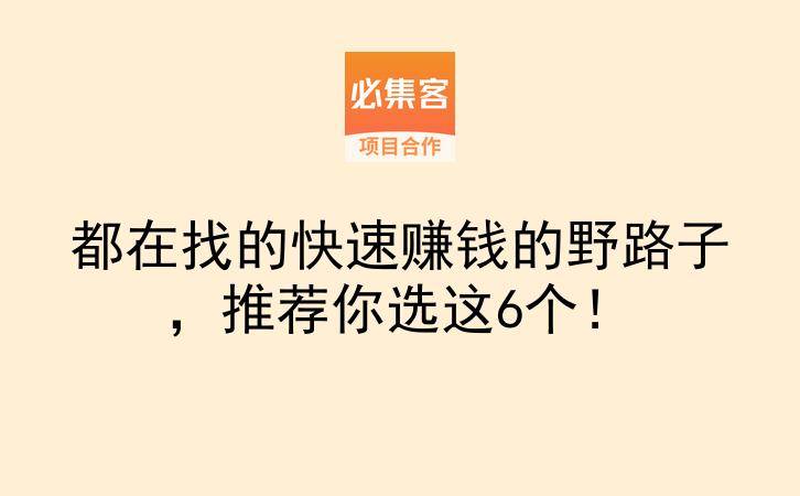 都在找的快速赚钱的野路子，推荐你选这6个！-云推网创项目库