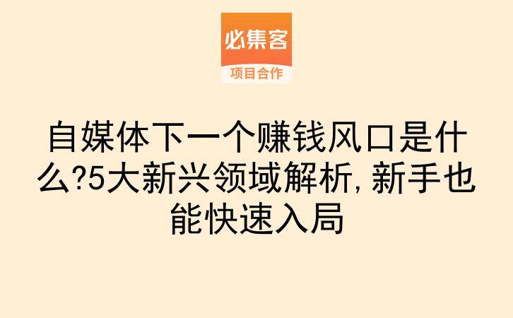 自媒体下一个赚钱风口是什么?5大新兴领域解析,新手也能快速入局-云推网创项目库