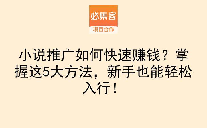 小说推广如何快速赚钱？掌握这5大方法，新手也能轻松入行！-云推网创项目库