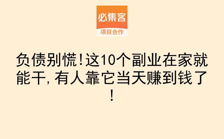 负债别慌!这10个副业在家就能干,有人靠它当天赚到钱了!-云推网创项目库