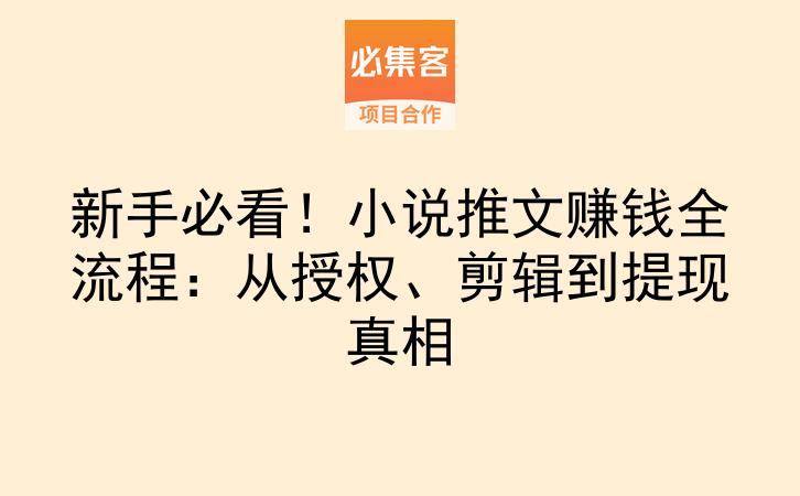 新手必看！小说推文赚钱全流程：从授权、剪辑到提现真相-云推网创项目库