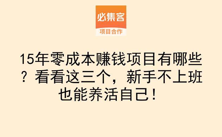 15年零成本赚钱项目有哪些？看看这三个，新手不上班也能养活自己！-云推网创项目库