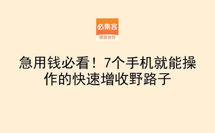 急用钱必看！7个手机就能操作的快速增收野路子-云推网创项目库