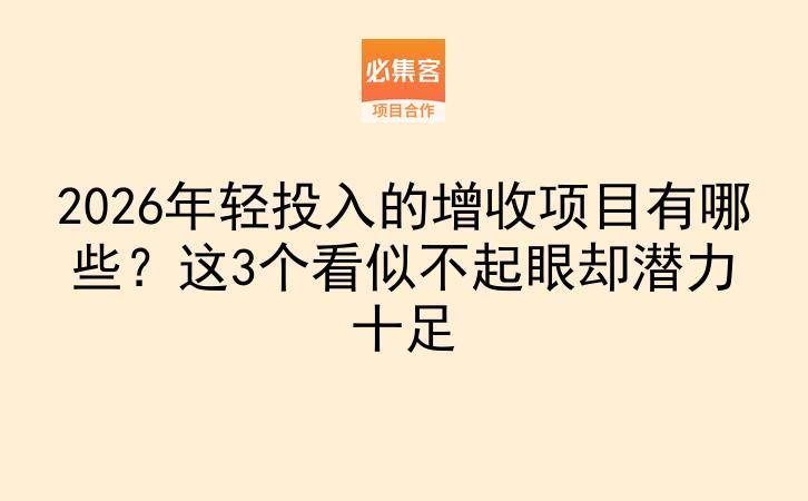 2026年轻投入的增收项目有哪些？这3个看似不起眼却潜力十足-云推网创项目库
