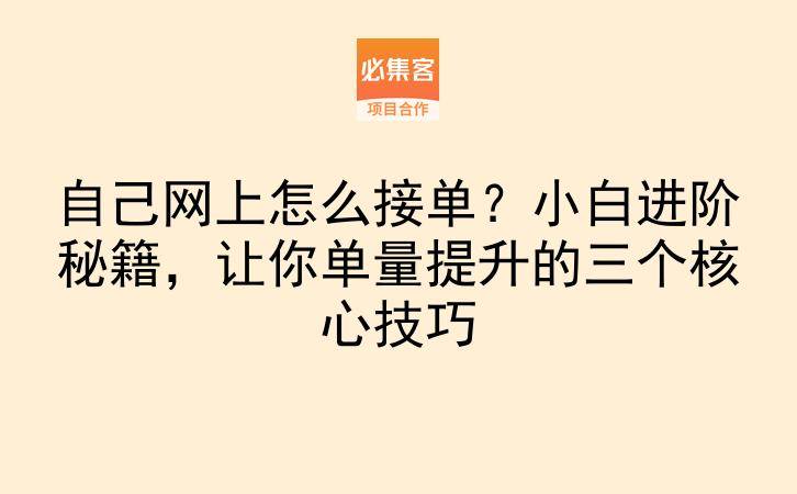 自己网上怎么接单？小白进阶秘籍，让你单量提升的三个核心技巧-云推网创项目库
