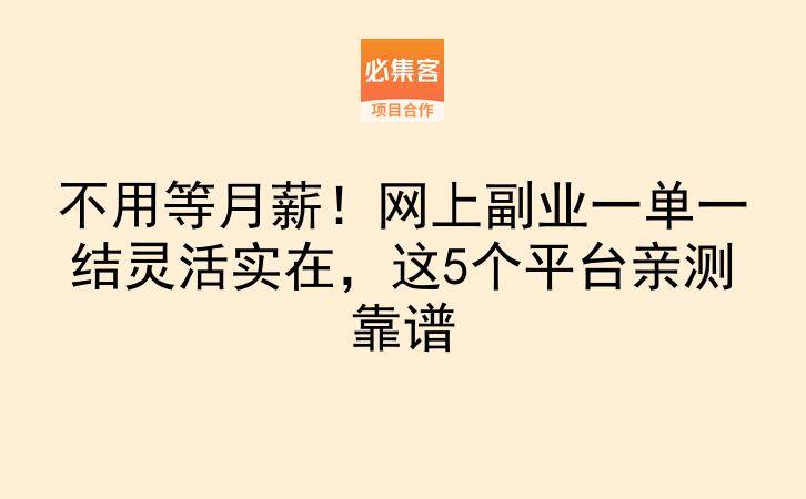 不用等月薪！网上副业一单一结灵活实在，这5个平台亲测靠谱-云推网创项目库