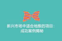 新兴市场地推项目推荐：成功案例大揭秘-云推网创项目库