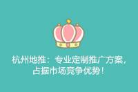 杭州地推：定制专业推广方案，赢取市场竞争优势！-云推网创项目库