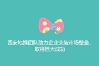 西安地推团队：助力企业破市场壁垒，获巨大成功-云推网创项目库