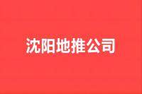 沈阳地推公司，该如何评价？-云推网创项目库