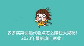 《多多买菜快递代收点赚钱大揭秘！2024年热门副业》-云推网创项目库