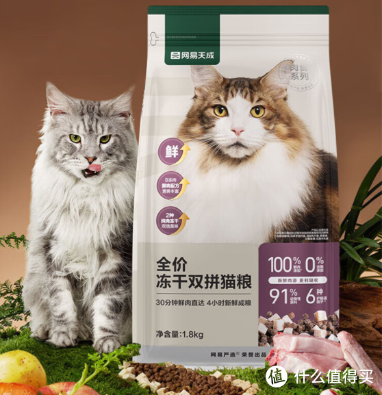 学会在双十一买好价猫粮,让猫猫衣吃无忧