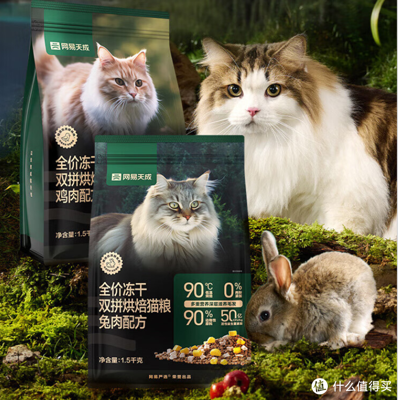 学会在双十一买好价猫粮,让猫猫衣吃无忧