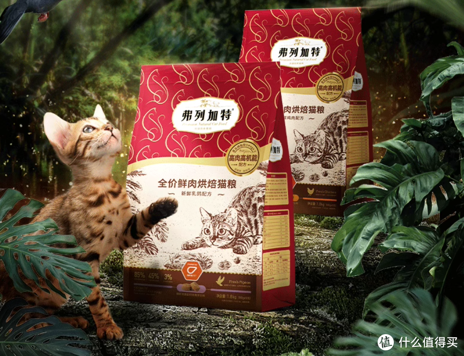 学会在双十一买好价猫粮,让猫猫衣吃无忧