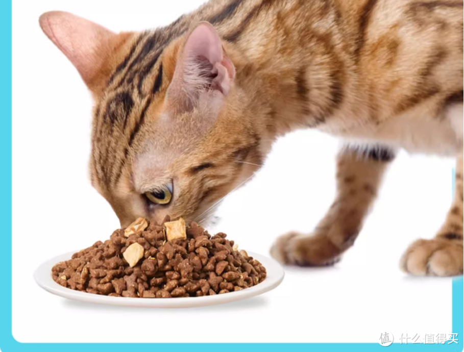 学会在双十一买好价猫粮,让猫猫衣吃无忧