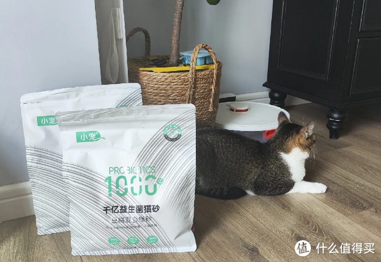 学会在双十一买好价猫粮,让猫猫衣吃无忧