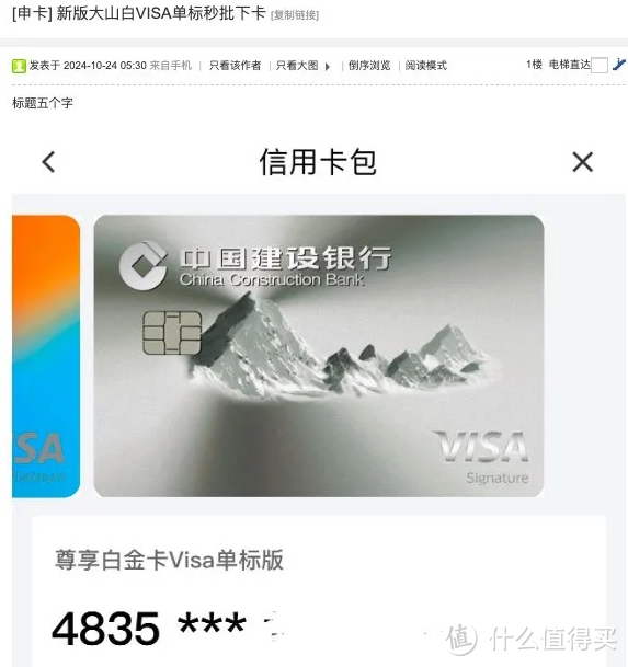 建行信用卡好消息,VISA单标秒批下卡
