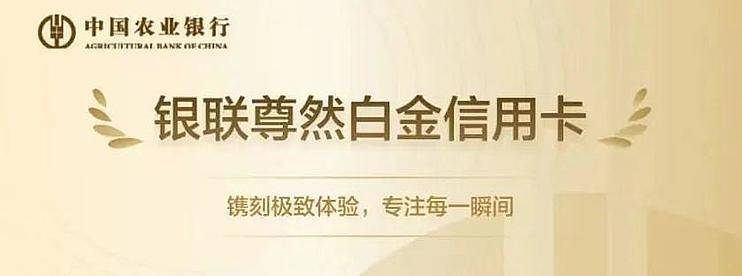 2025年最值得办的大白金，年费880减免，新增乐园权益，卡圈良心-云推网创项目库