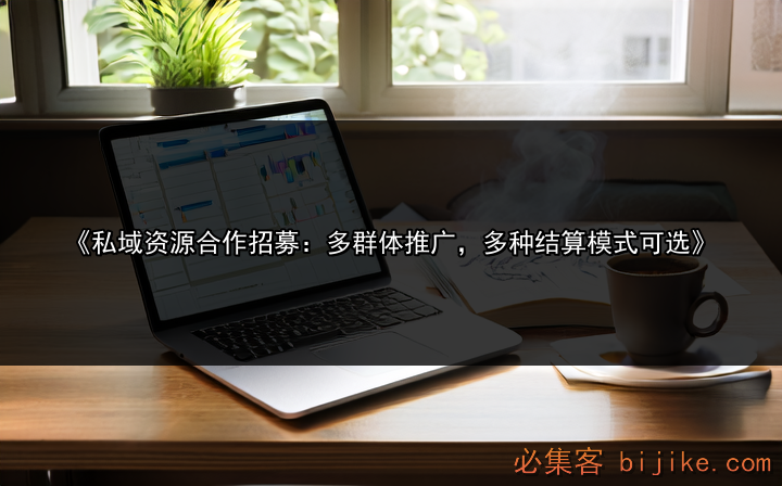 私域变现项目