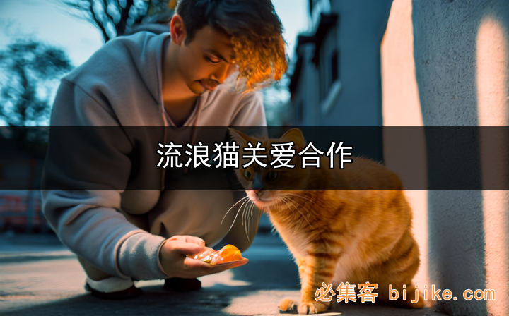街猫合作推广