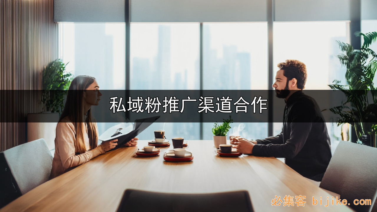 私域流量合作