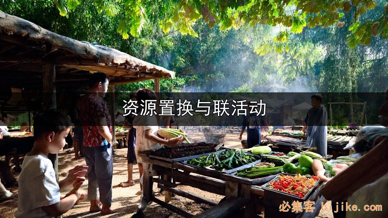 资源置换合作