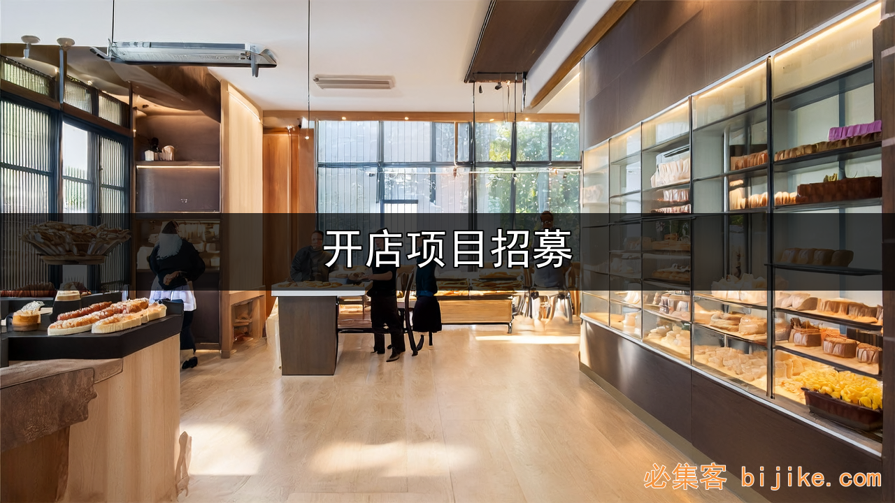 社交电商机会