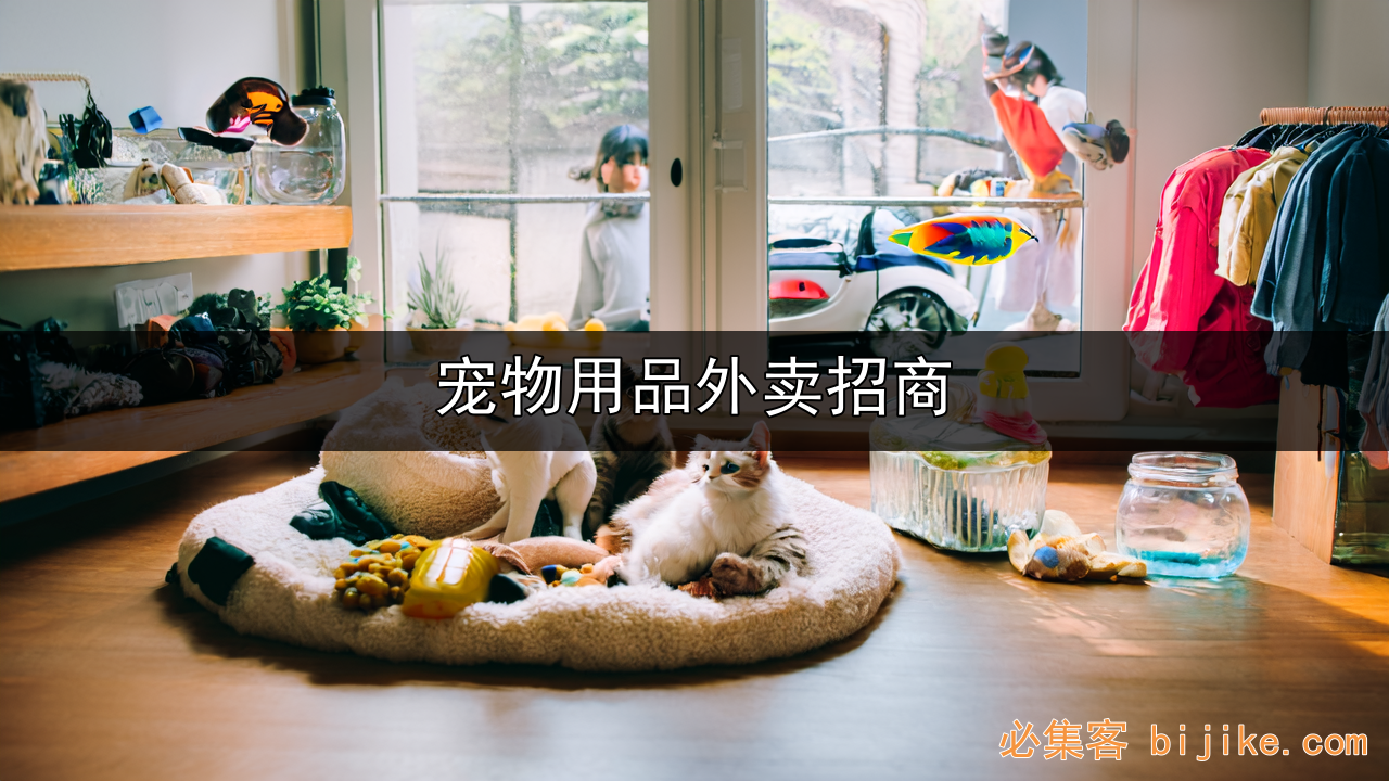 宠物外卖创业