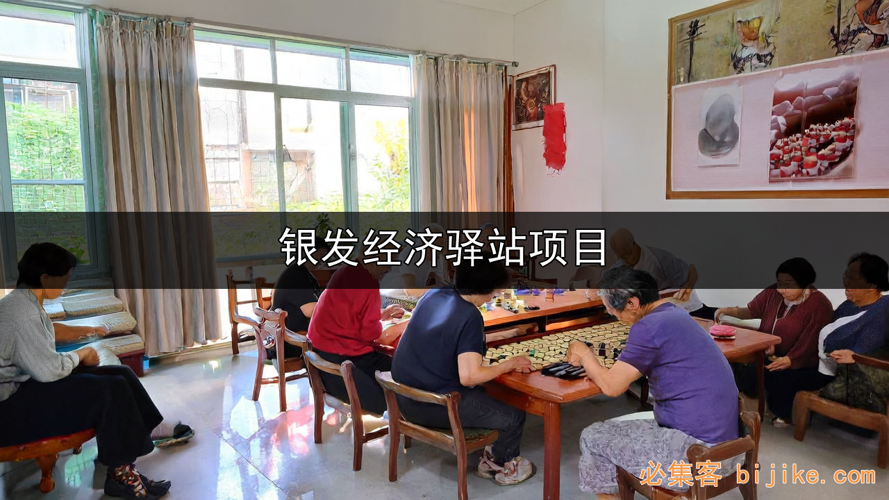 1. 社区银发生意
2. 驿站暖心事业
3. 老年社区商业
4. 银发生意模式
5. 轻量社区运营