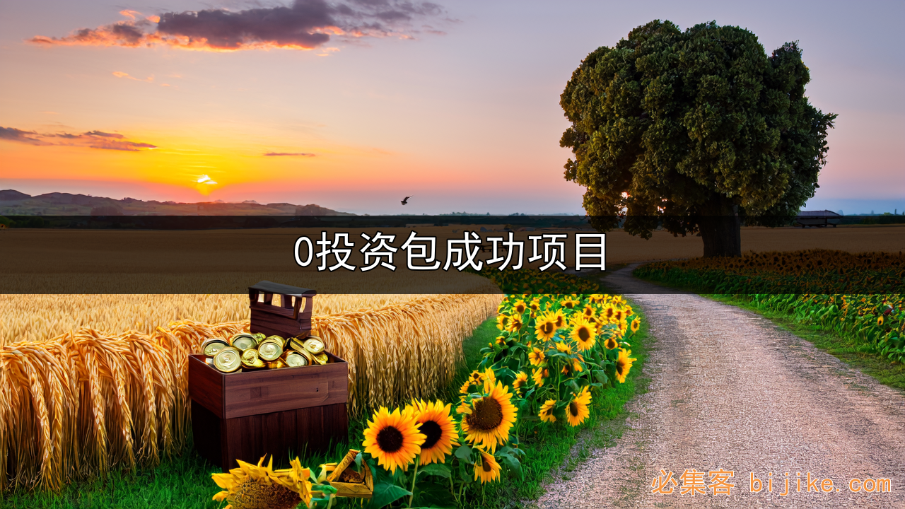 健康财富计划
