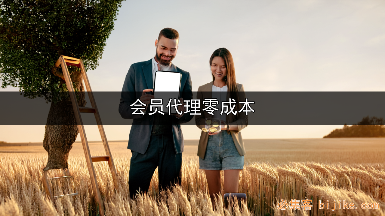 影视会员赚钱