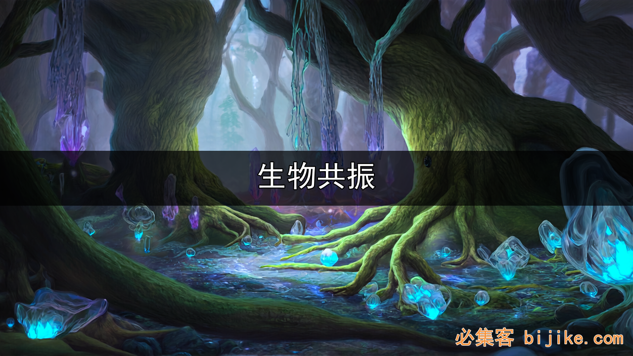 视力经济新风口