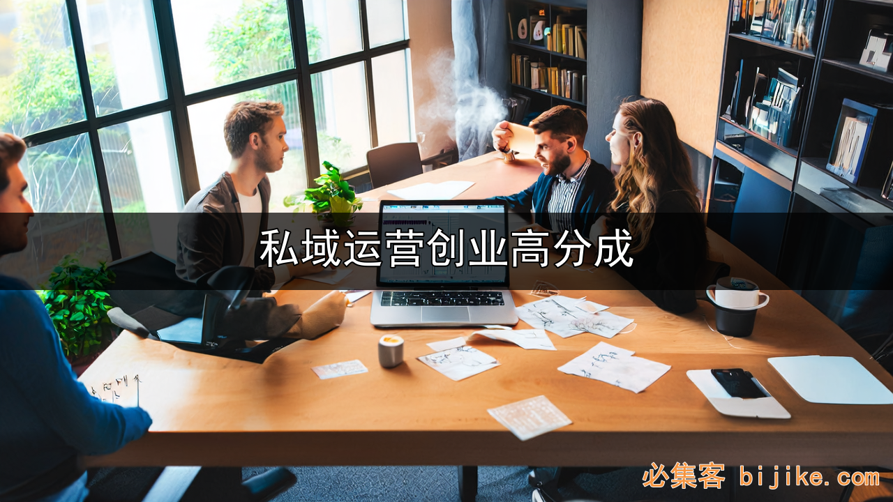 私域流量变现