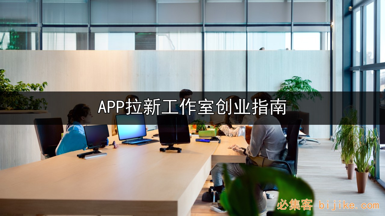 APP拉新创业