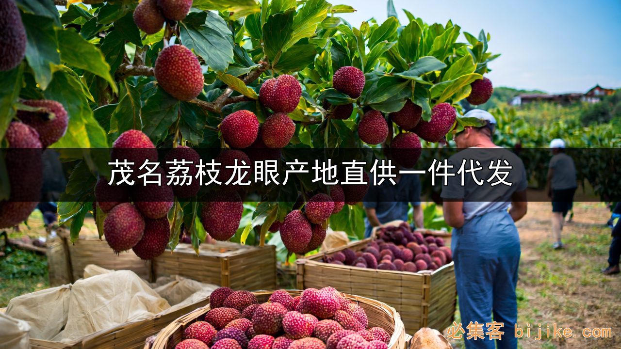 荔枝致富指南