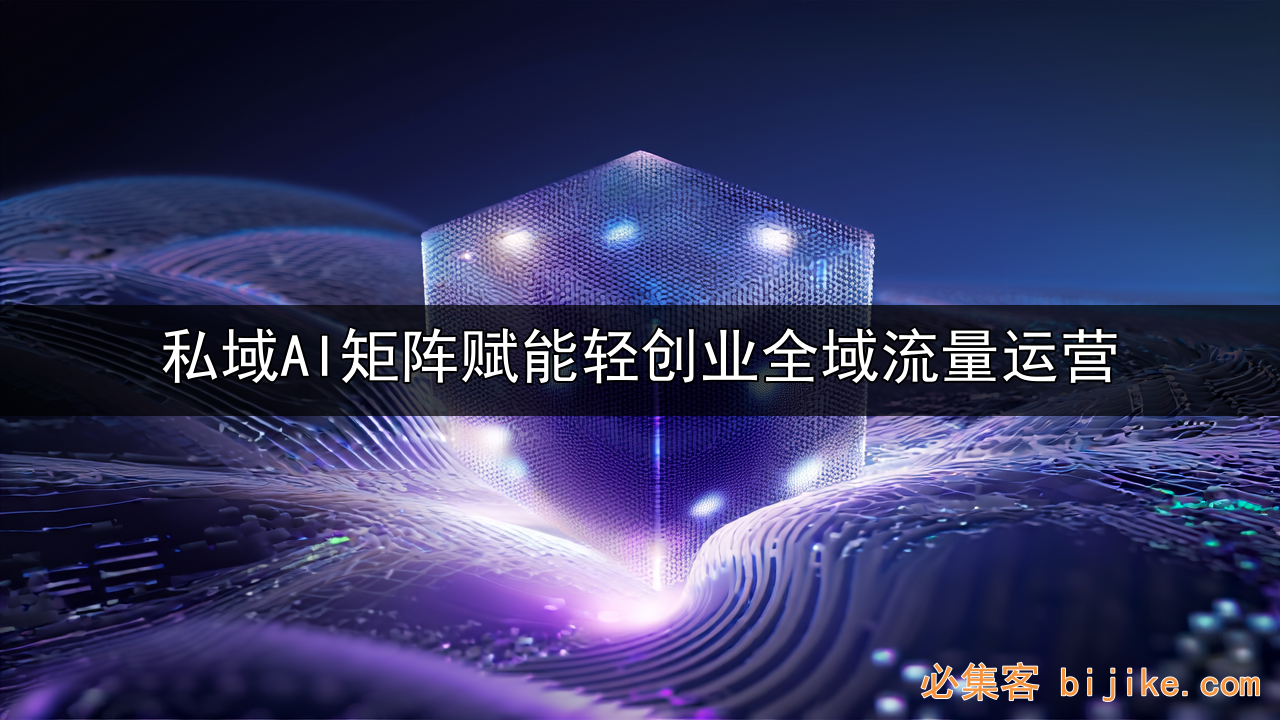 AI私域变现