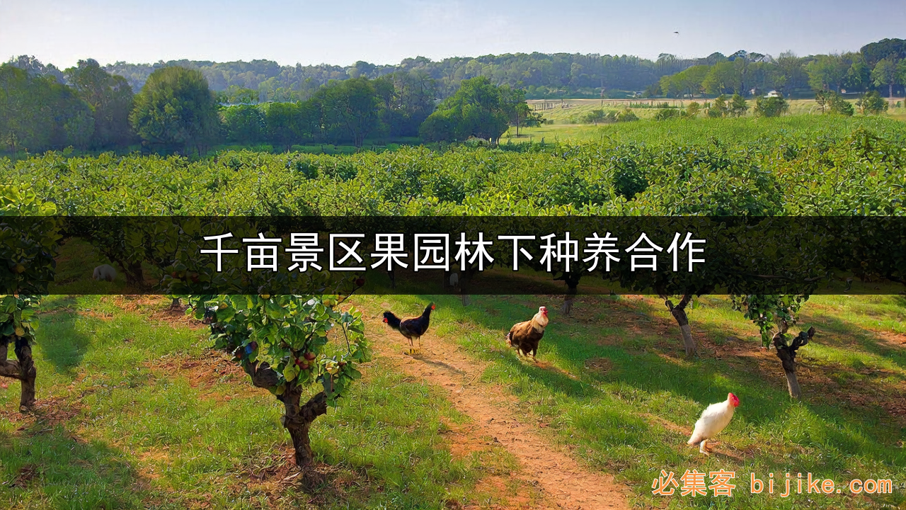 千亩果园商机
