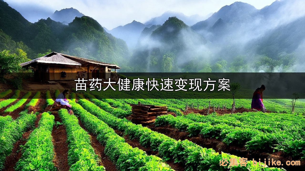 苗药创业指南