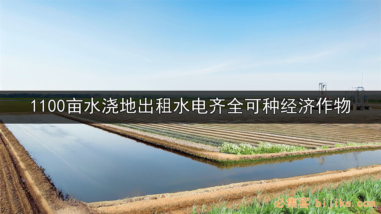 规模化农地投资
