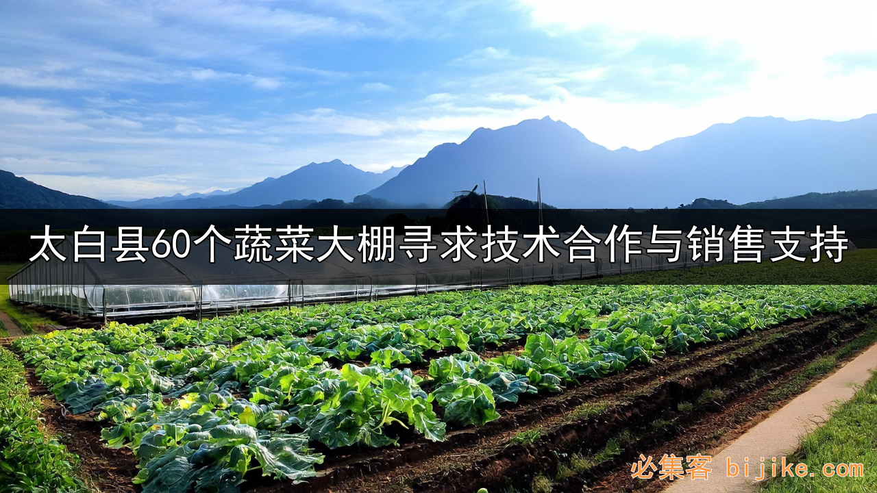 高山有机蔬菜