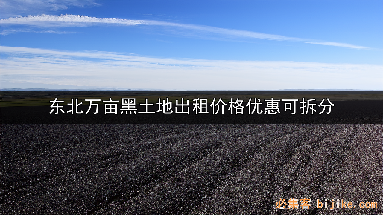 东北黑土地租赁