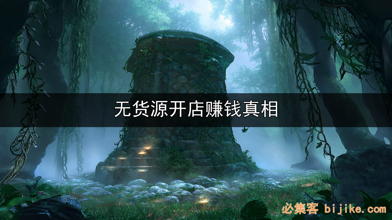 无货源电商创业