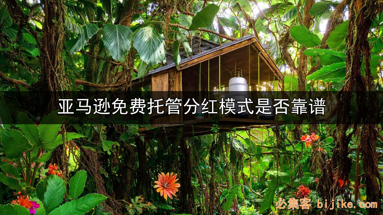亚马逊代运营