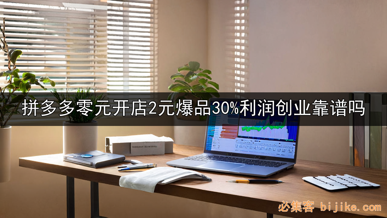 拼多多轻资产创业